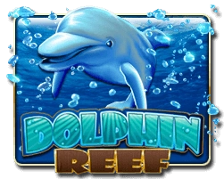 dolphinreef